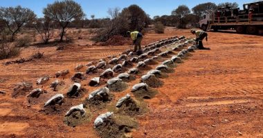 RC drilling at Cork Tree Well.